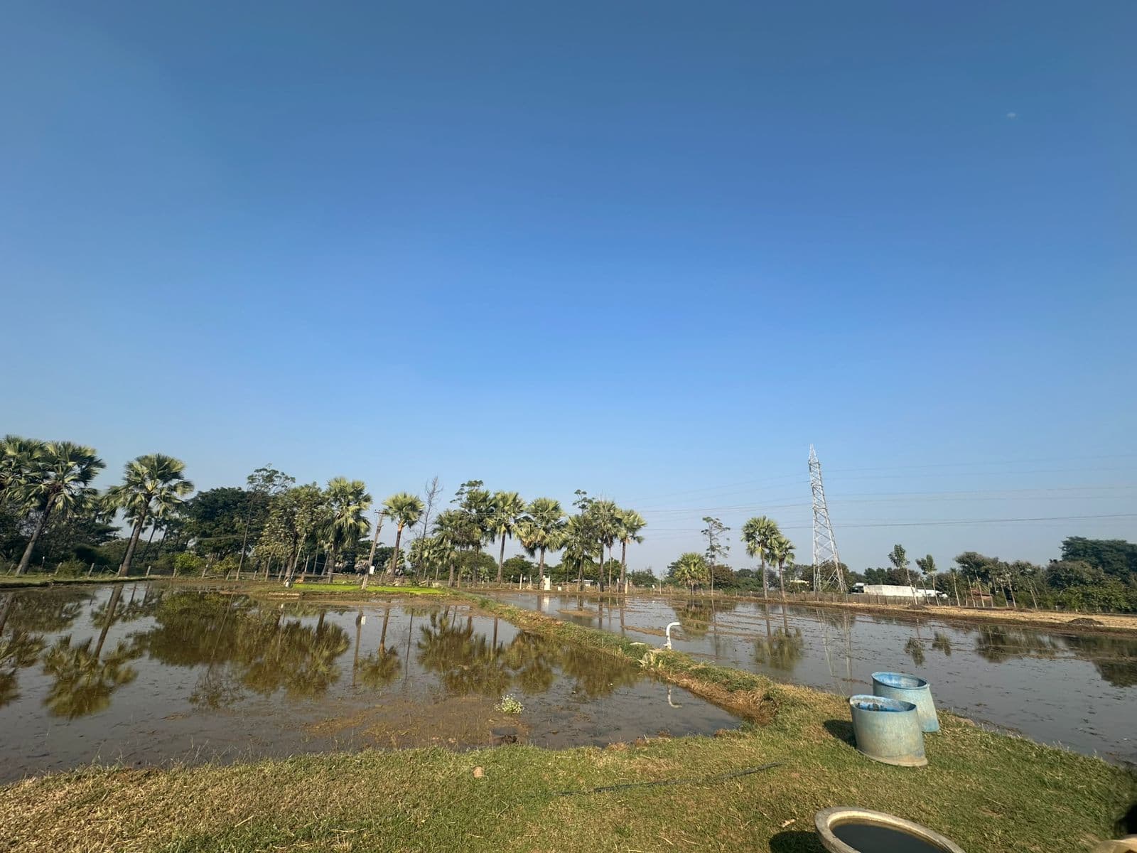 Water Body at Farm